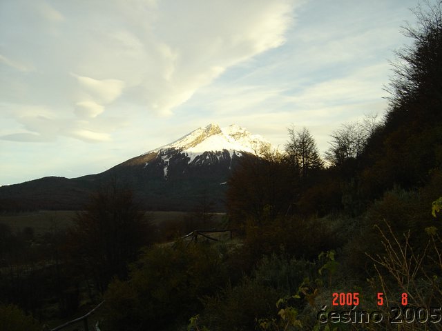 DSC02919.JPG