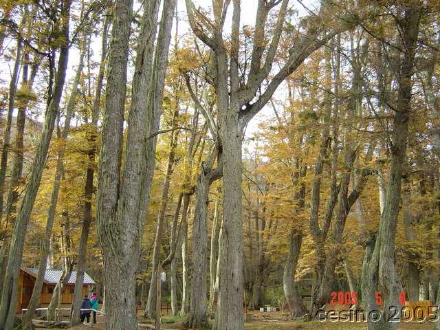 DSC02934.JPG