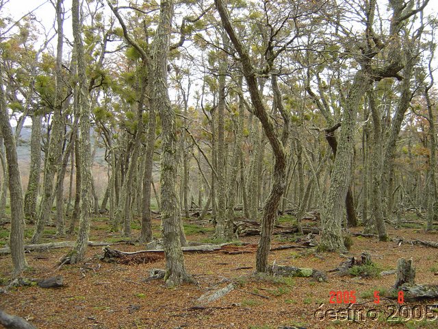 DSC02936.JPG