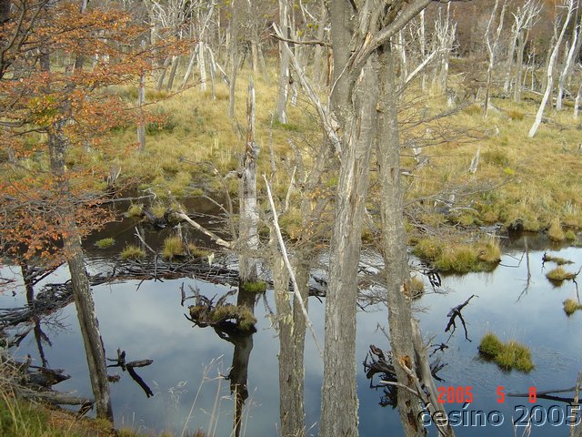 DSC02945.JPG