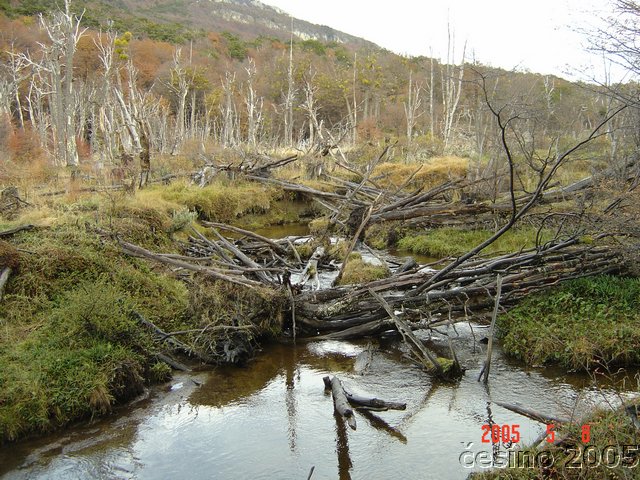 DSC02949.JPG