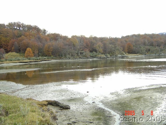 DSC02957.JPG