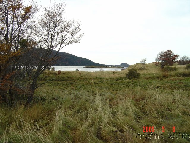 DSC02963.JPG