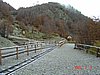 DSC02905.JPG