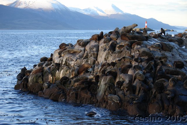 ushuaia_724.JPG