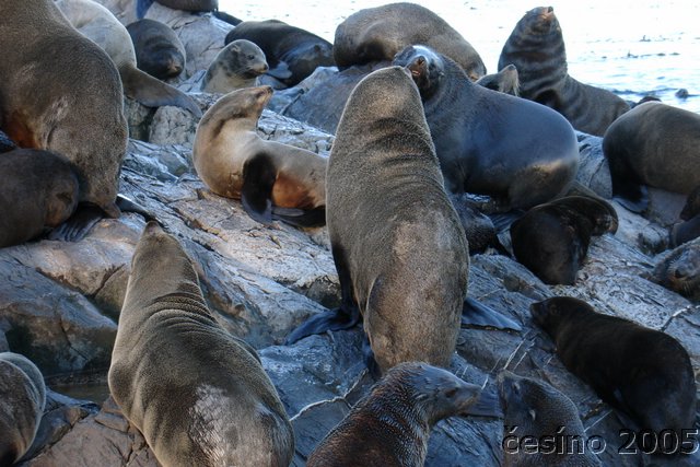 ushuaia_728.JPG