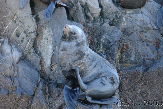 ushuaia_732.JPG