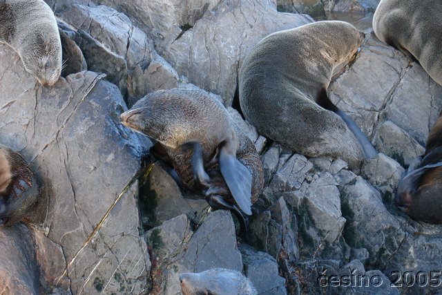 ushuaia_733.JPG