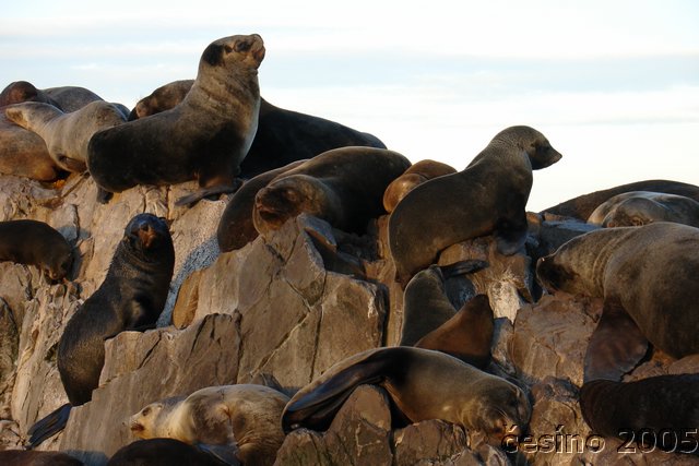 ushuaia_734.JPG