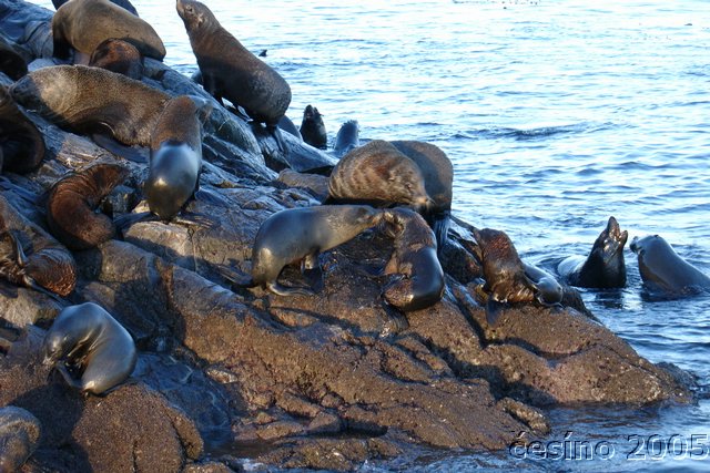 ushuaia_736.JPG