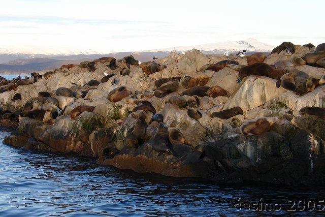 ushuaia_738.JPG