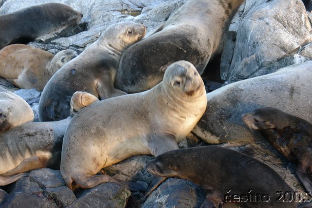 ushuaia_739.JPG