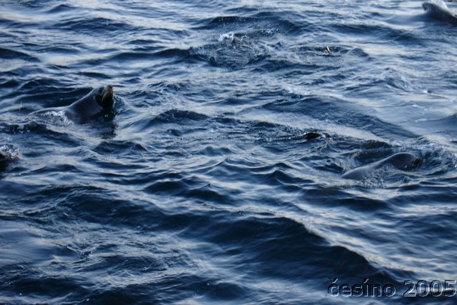 ushuaia_749.JPG