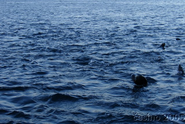 ushuaia_759.JPG