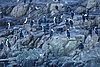ushuaia_720.JPG