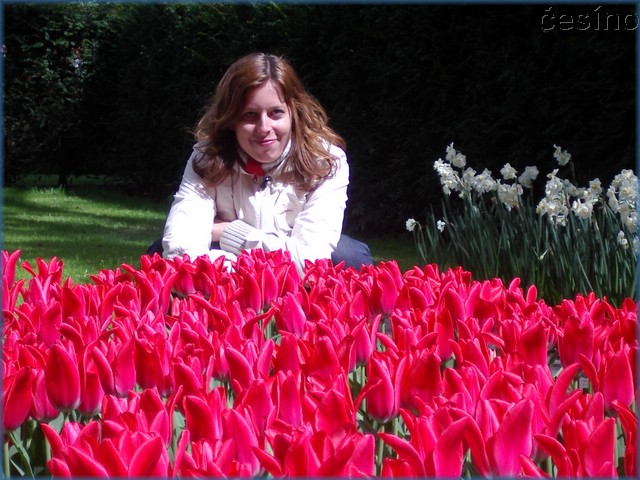 holandbelgie081