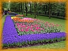 holandbelgie065.jpg