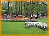 holandbelgie071.jpg