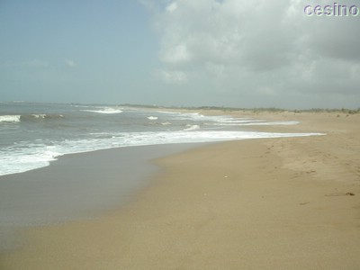 diu002.jpg