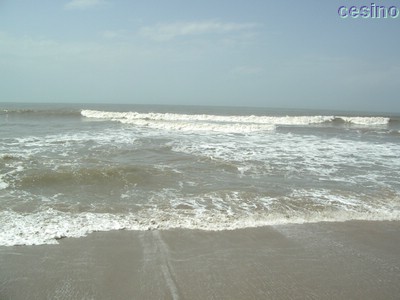 diu006.jpg