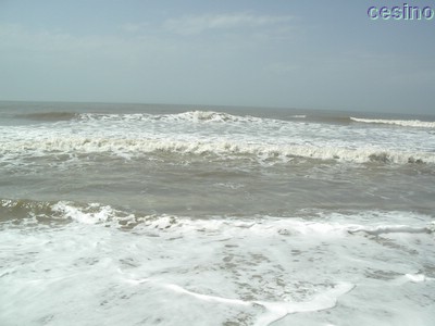 diu007.jpg