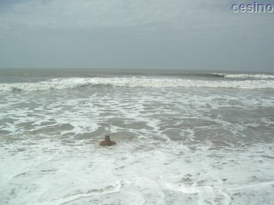 diu009.jpg