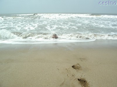 diu010.jpg