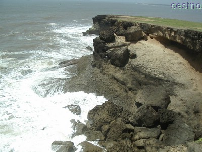 diu011.jpg