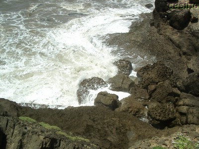 diu012.jpg