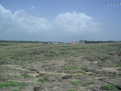 diu013.jpg