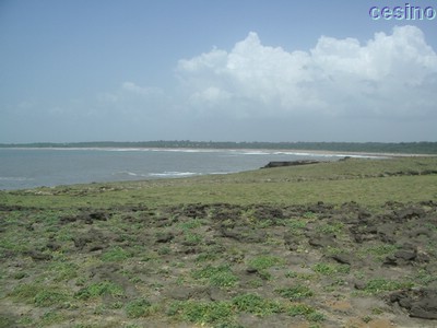 diu014.jpg