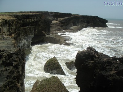 diu016.jpg