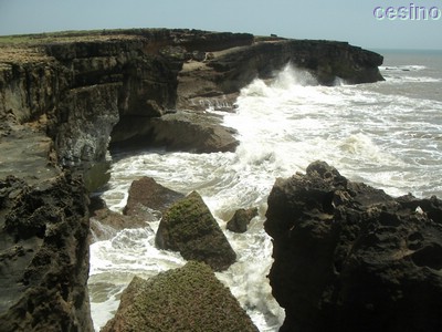 diu017.jpg