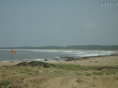 diu022.jpg