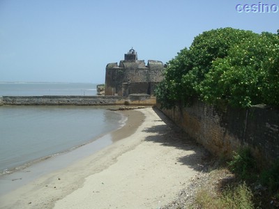 diu024.jpg