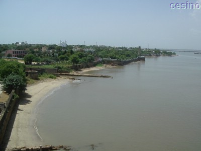 diu028.jpg