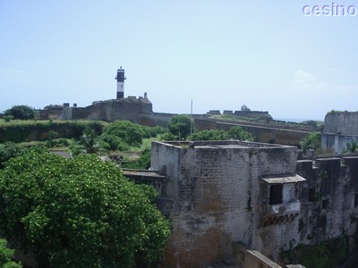 diu030.jpg