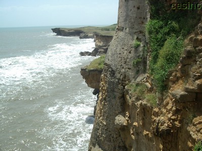 diu034.jpg