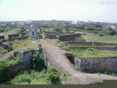 diu037.jpg