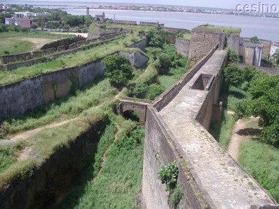 diu038.jpg