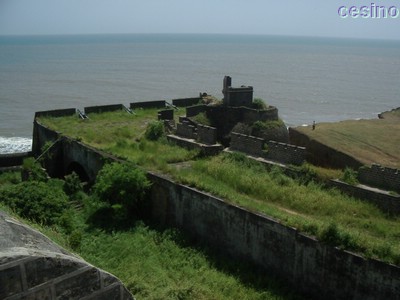 diu040.jpg