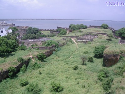 diu044.jpg