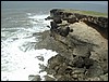 diu011.jpg