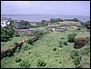 diu044.jpg