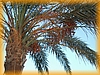 egypt_10_03_037.jpg