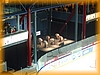 finsko2002_12.JPG