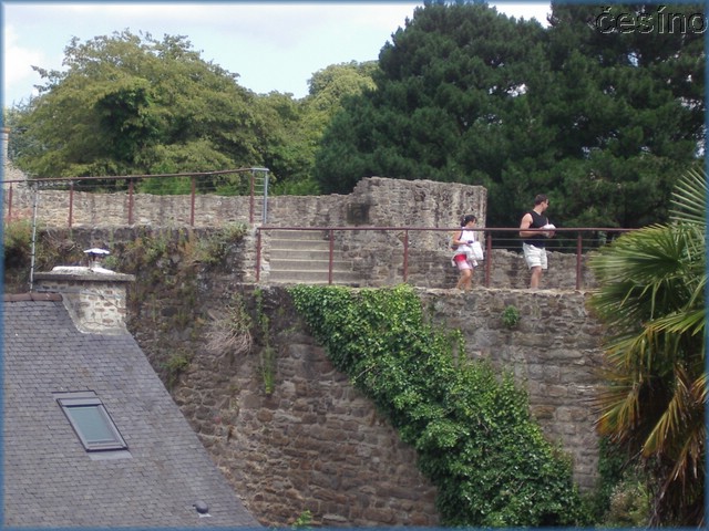 francie04_273