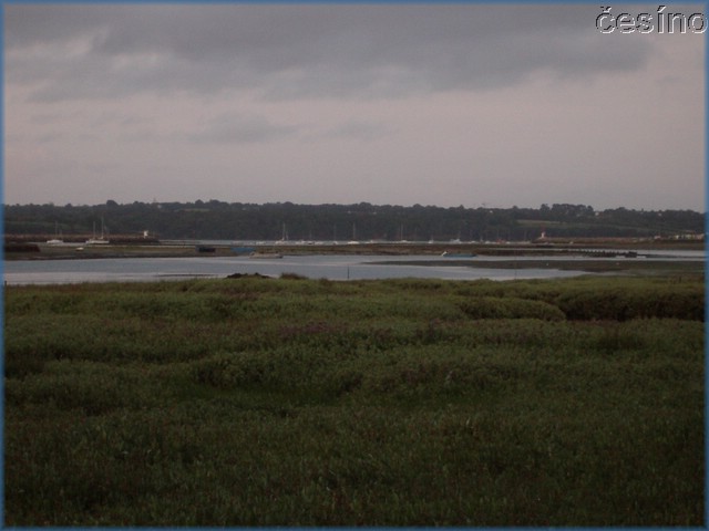 francie04_351