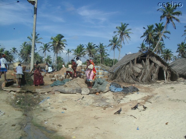IMGP5542.JPG