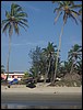 IMGP5553.JPG